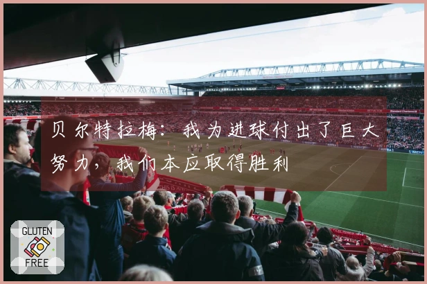 贝尔特拉梅：我为进球付出了巨大努力，我们本应取得胜利