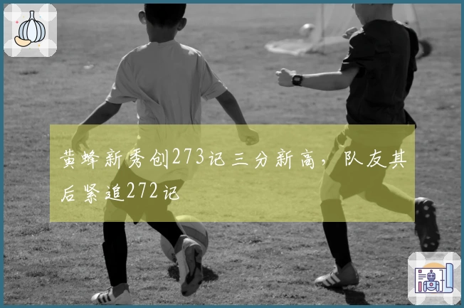 黄蜂新秀创273记三分新高，队友其后紧追272记
